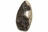 Free-Standing, Polished Septarian Geode - Black Crystals #196270-1